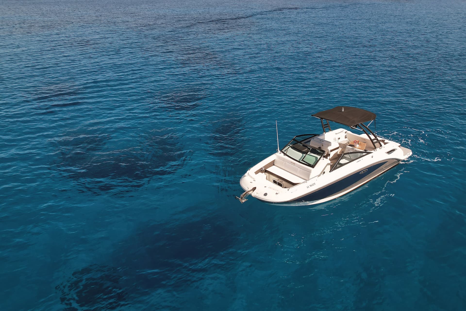 Sea Ray 250 SDX XO 4